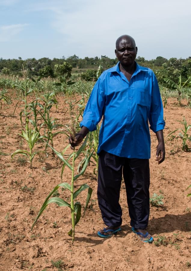 Man in field