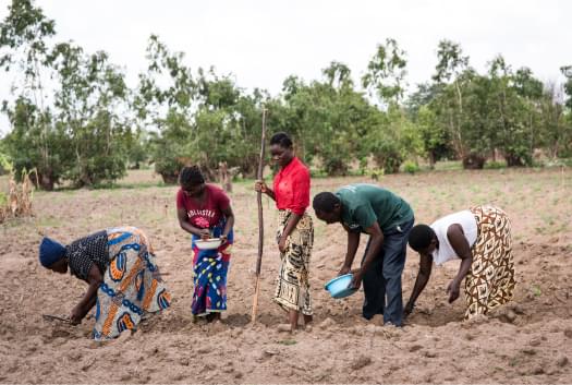 Group of farmers